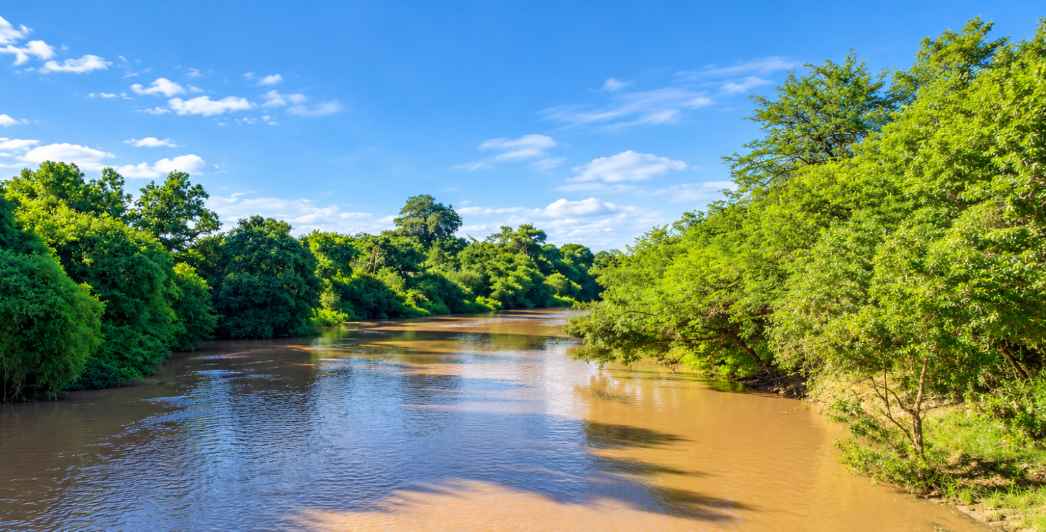 Paisaje del río Salado en Santiago del Estero